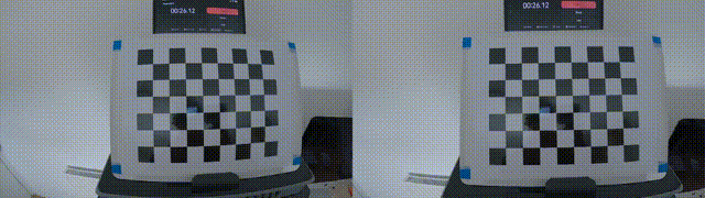Video undistorter example